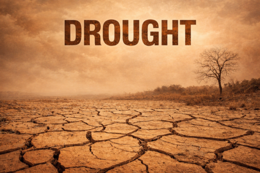 Antigua Records Third-Driest May Since 1928 as Drought Conditions Intensify