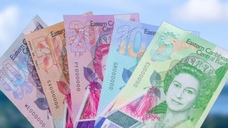 High Lending Rates Threaten ECCU's 'Decade of Decision' Growth Ambitions