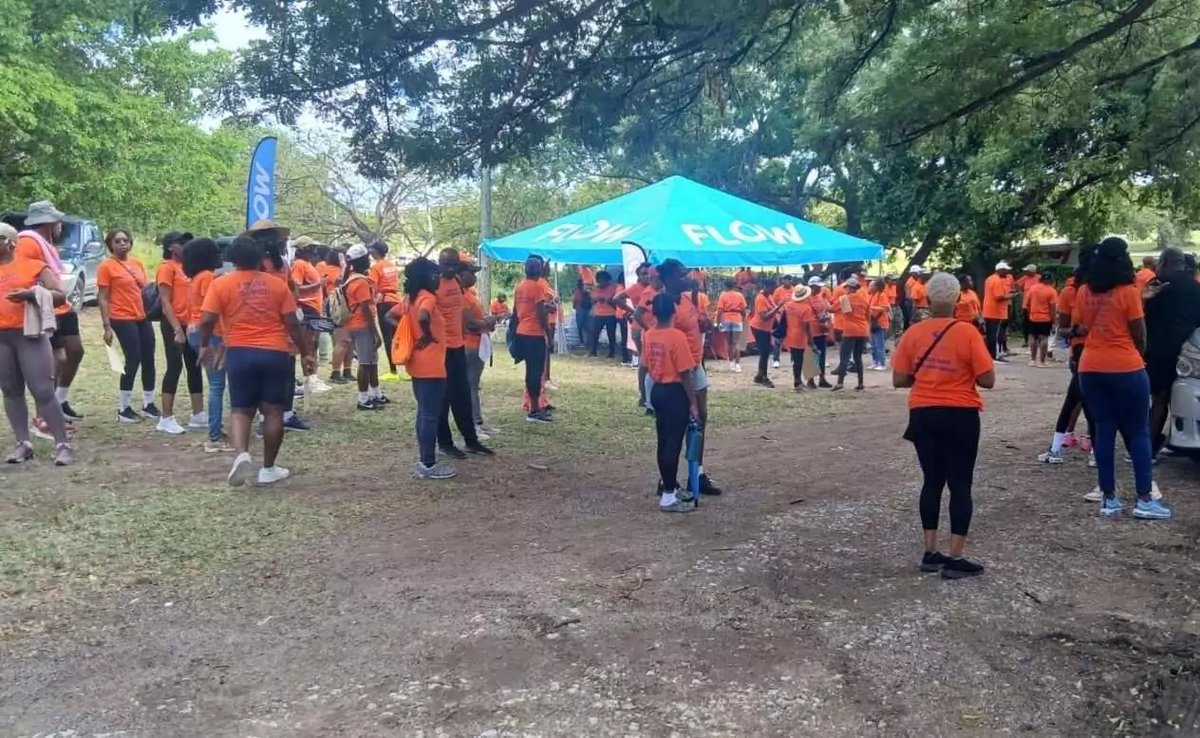 Hundreds Dress in Orange for IHO's 2026 Stop GBV Walk