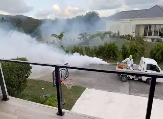 Jolly Harbour Mosquito Fogging Suspended After High Court Hearing