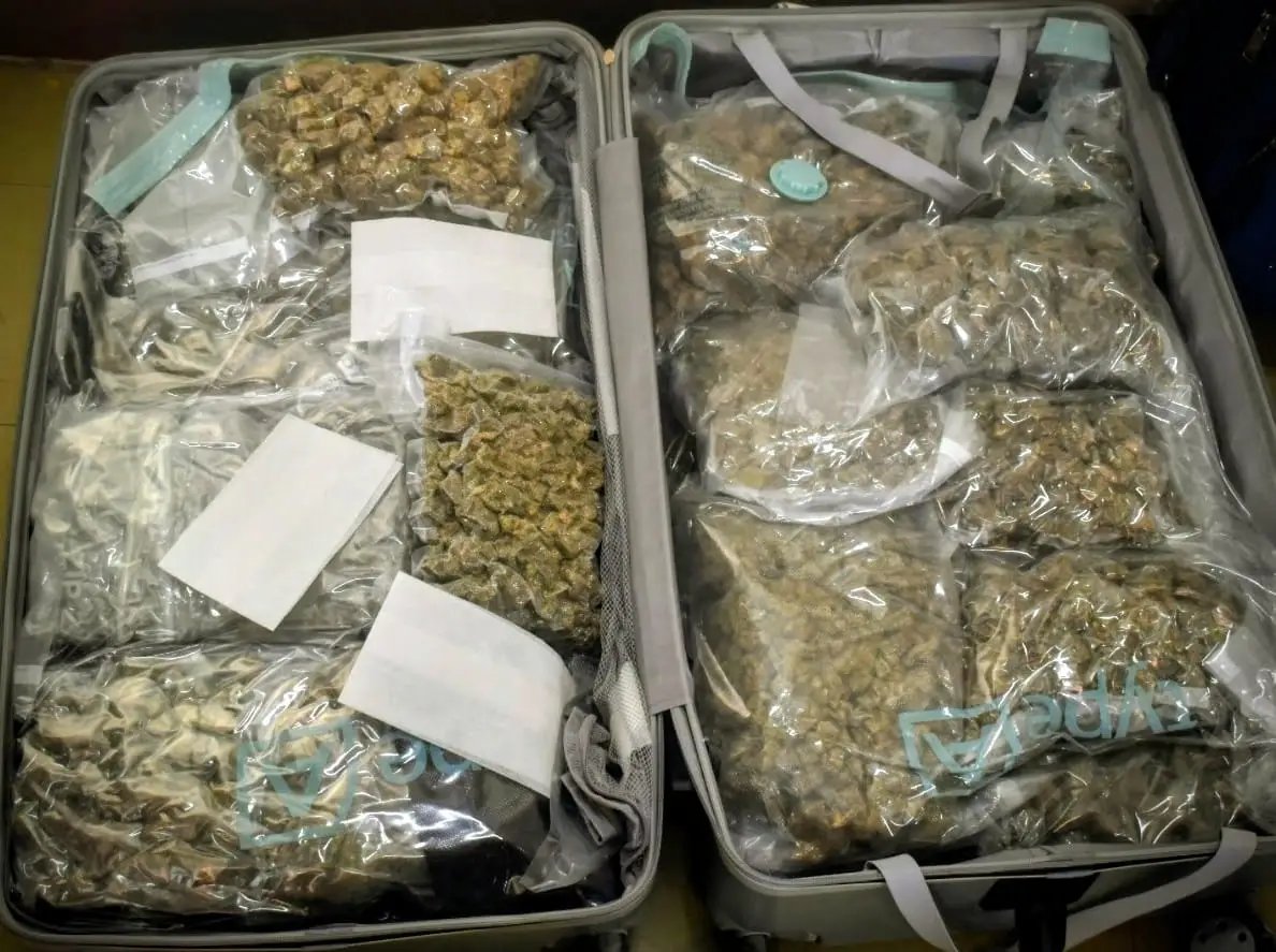 Canadian Man Arrested at VC Bird Airport with $208K Worth of Cannabis