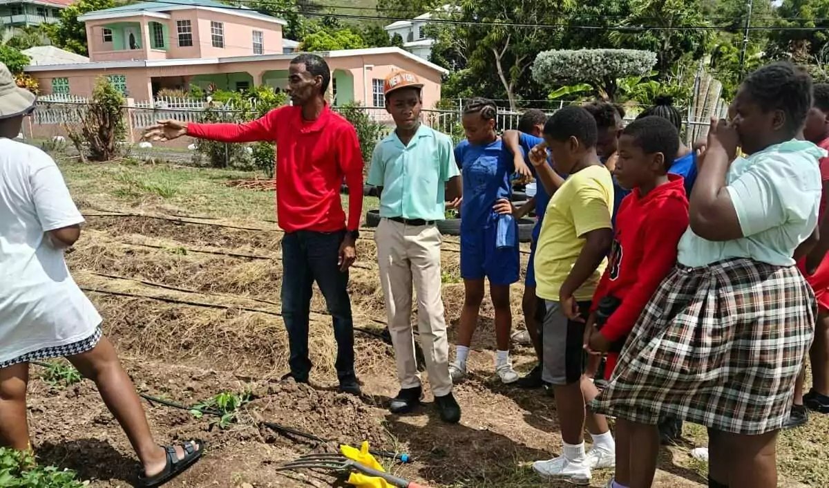 Cobbs Cross Primary School Installs Drip Irrigation System to Boost Agricultural Education