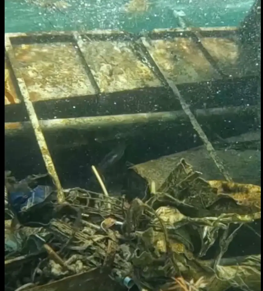 Volunteer Divers Pull Nearly 300 Pounds of Debris from Barbuda Yacht Wreck