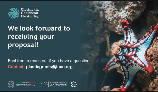 Caribbean Groups Can Apply for Grants to Fight Plastic Pollution