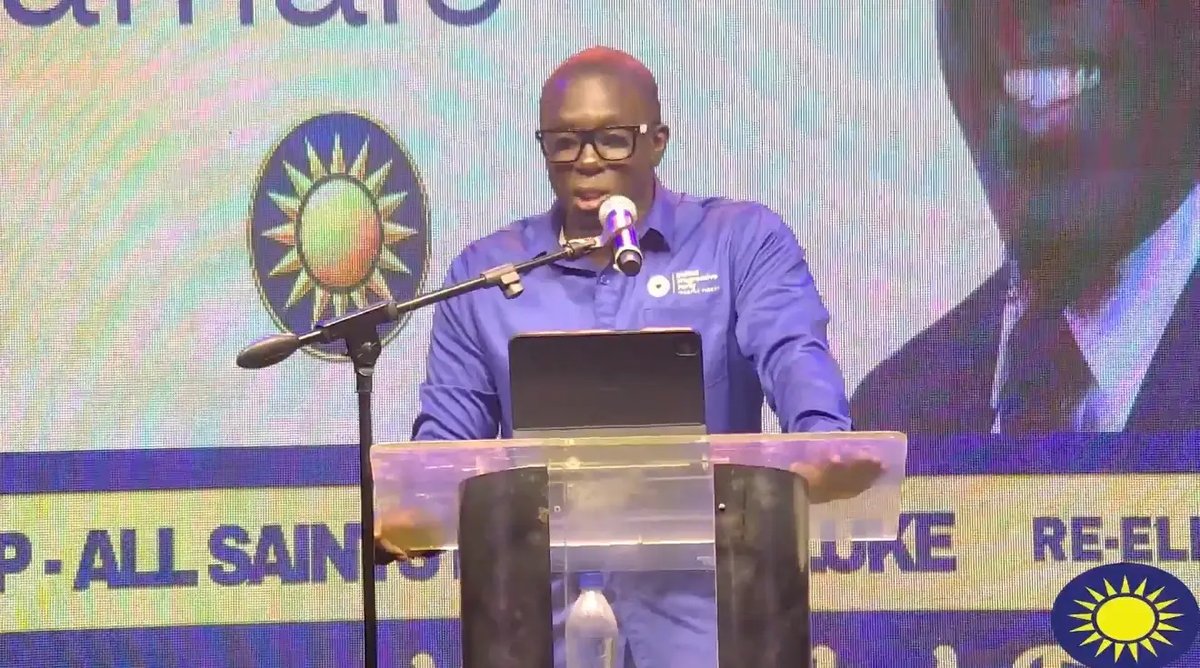 UPP's Pringle Pitches Strategic Social Security Investment Plan to Boost Pensions