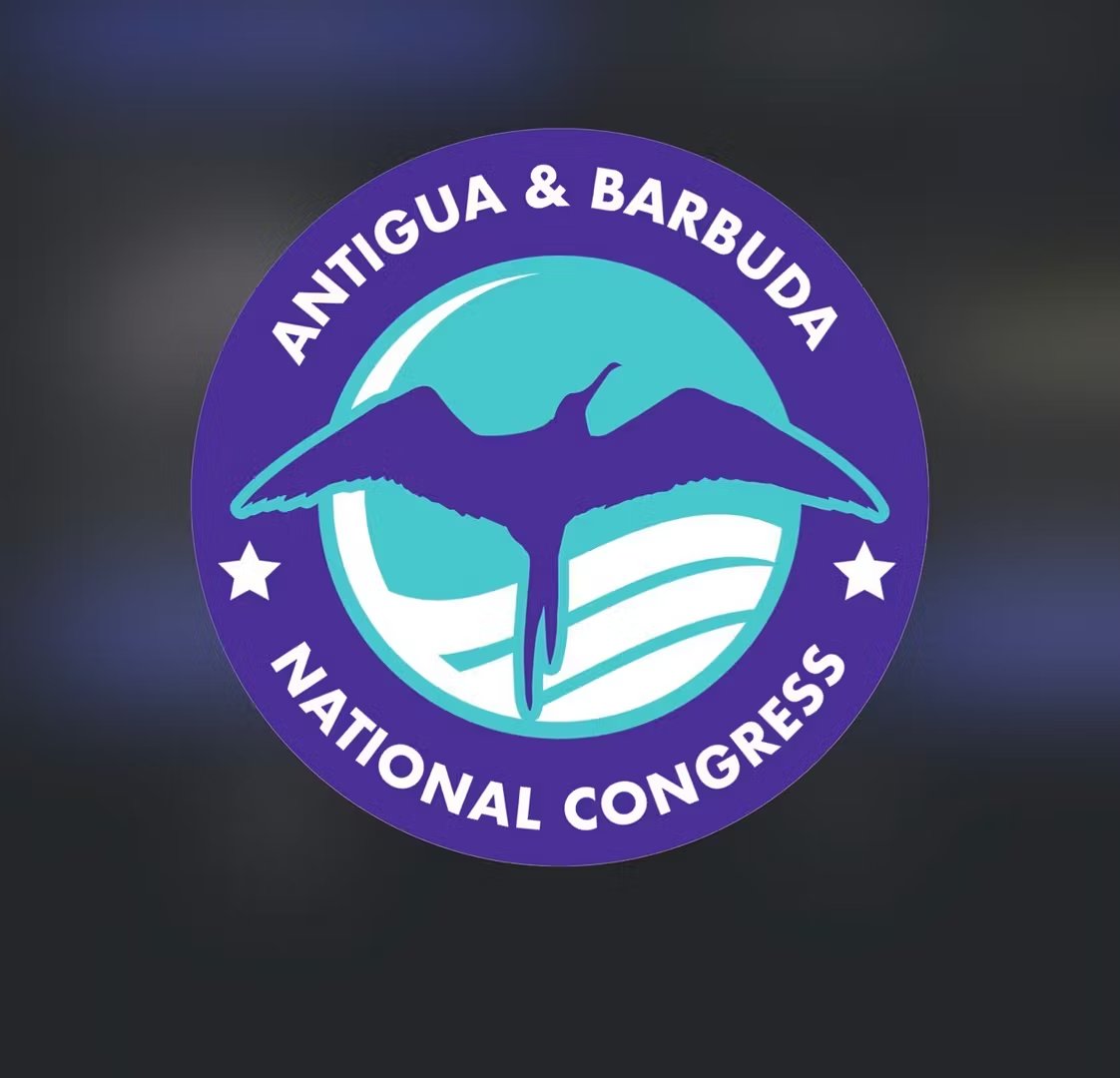 Independent Candidate Says 'Rushed' Election Sidelined Her Newly Formed Party