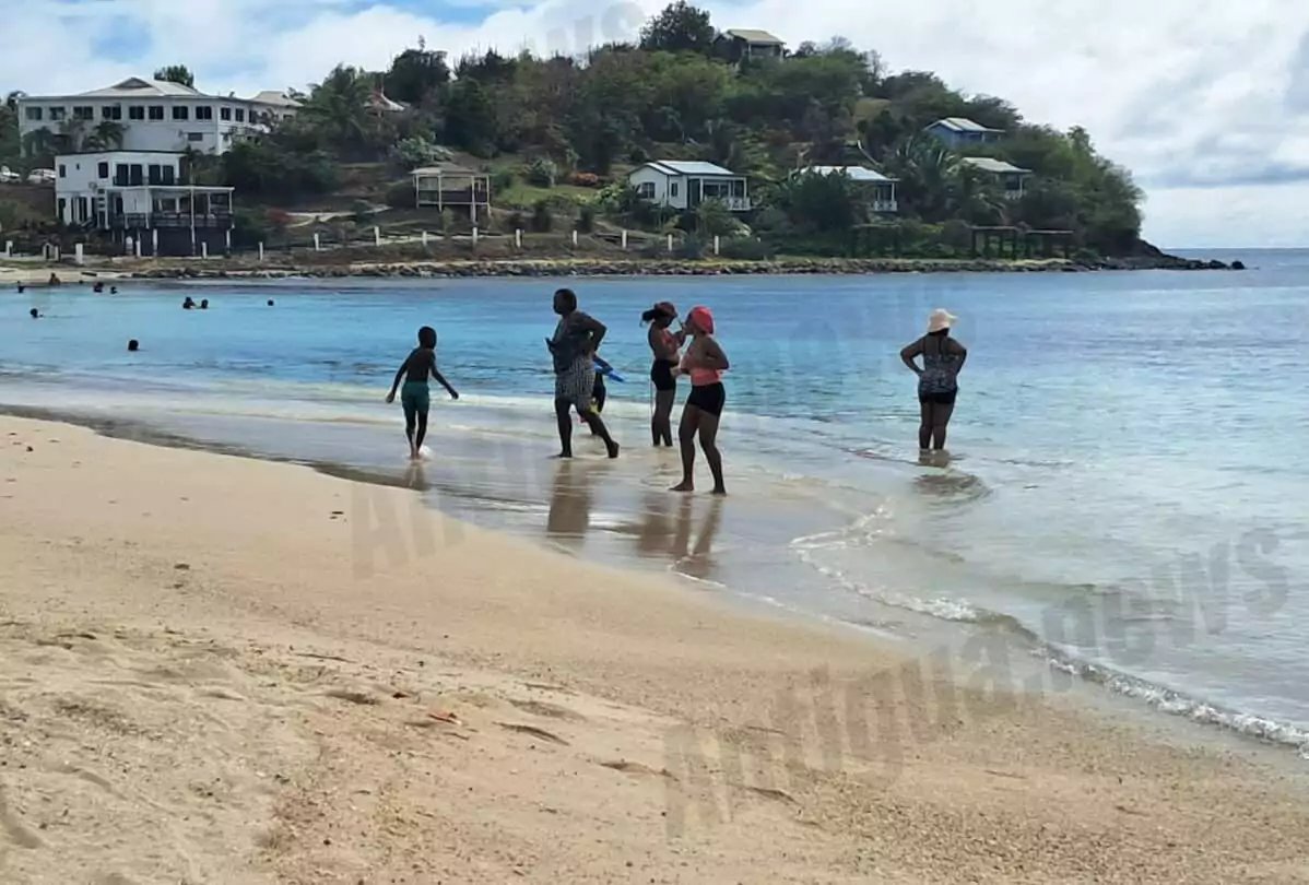 BREAKING: Shark Spotted Near Shoreline at Ffryes Beach Sends Swimmers Scrambling