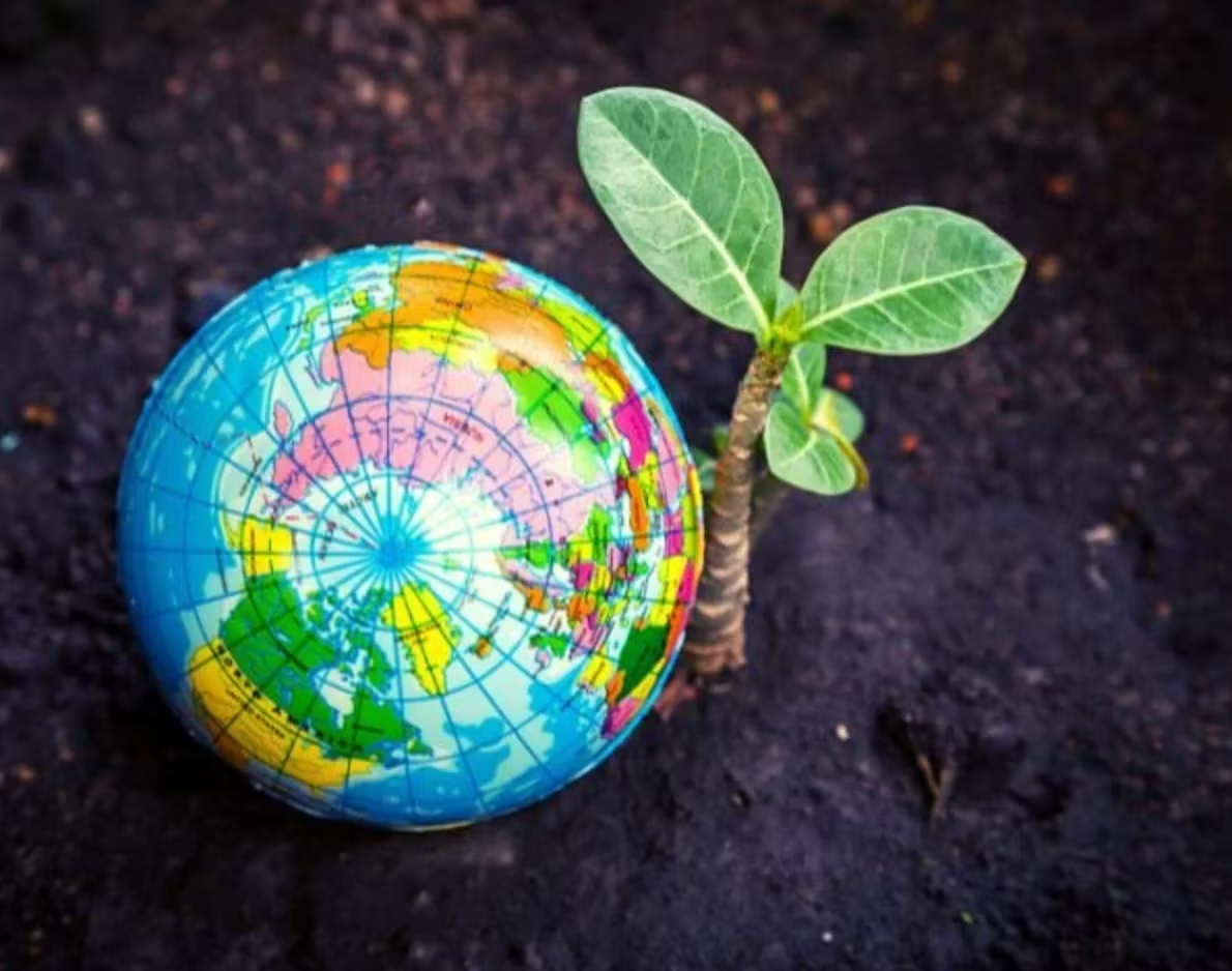 Antigua and Barbuda Eligible for Up to €80,000 in Caribbean Plastic Waste Grants