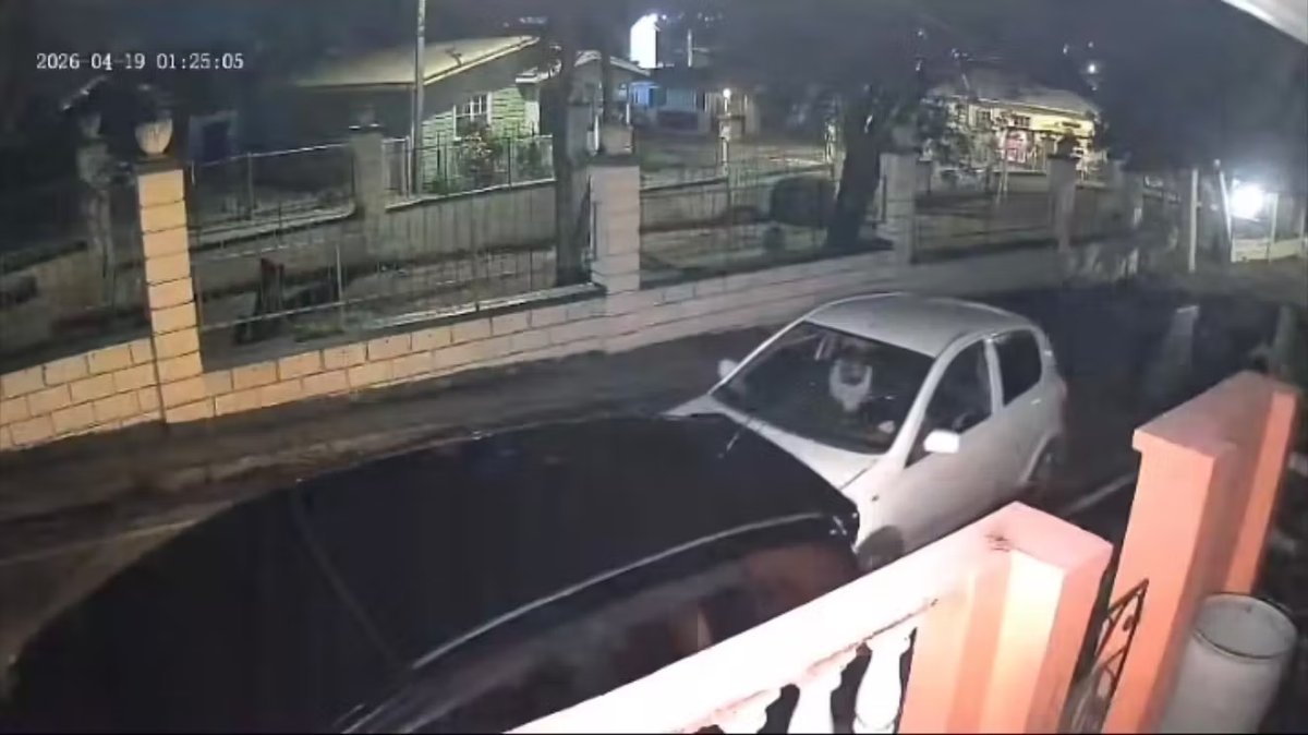 Hit-and-Run Driver Flees Scene in Michael Village; Public Urged to Come Forward