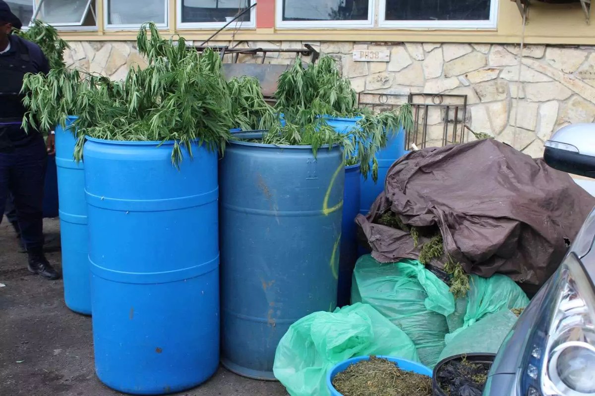 ASP Frankie Thomas Defends Major Cannabis Bust Near Pares; Four Men in Custody