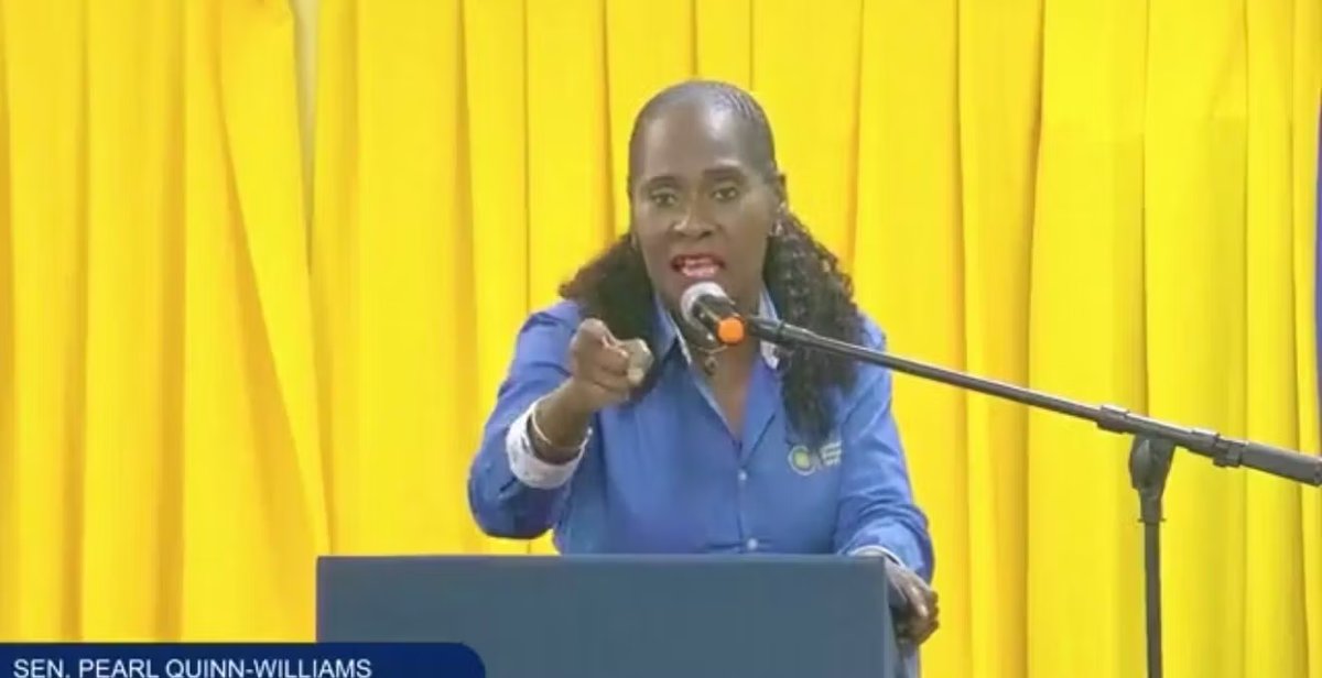 UPP's Quinn-Williams Eyes St John's City East Victory Ahead of April 30 Vote