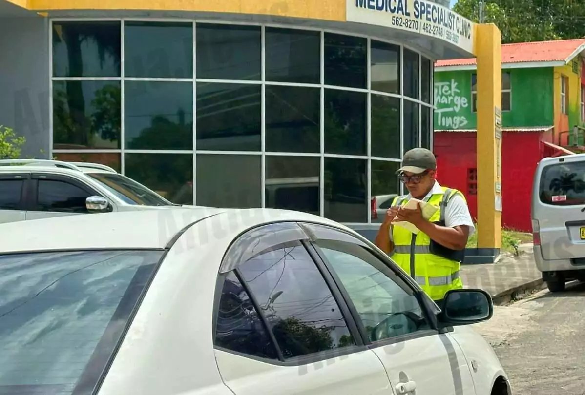 Ticket Blitz in St. John’s as Traffic Police Target Illegal Parking