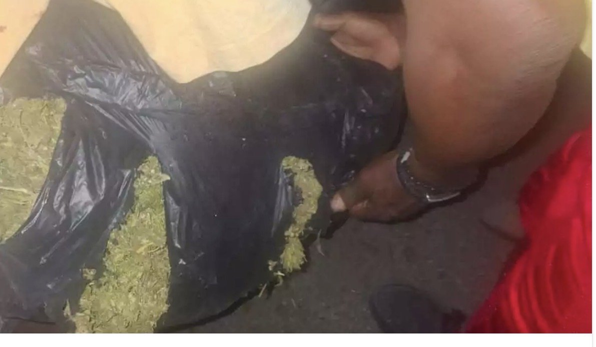 Two Men Detained After Suspected Cannabis Bust on Pares Main Road
